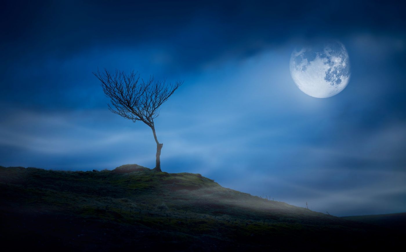 13 Non-Scary Secrets About Financial Planning