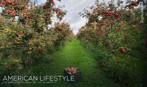 Harry Sherdil article Sep 2022